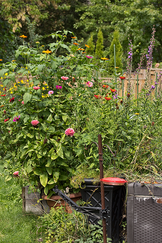 A pollinator station