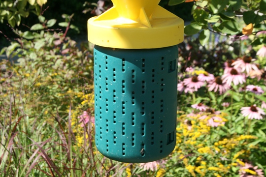 Integrated pest management for wildlife gardens